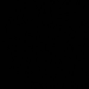 Meet your Posher, Desirae